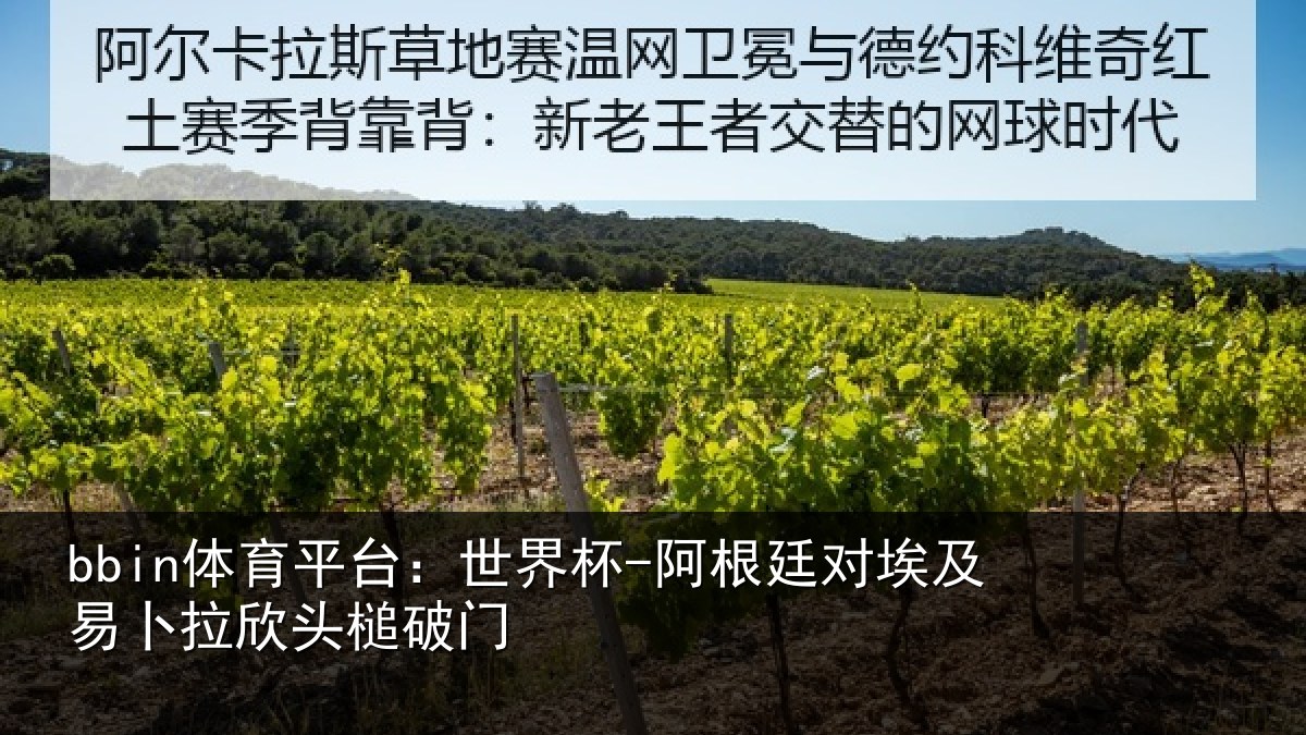 bbin体育平台:世界杯-阿根廷对埃及易卜拉欣头槌破门